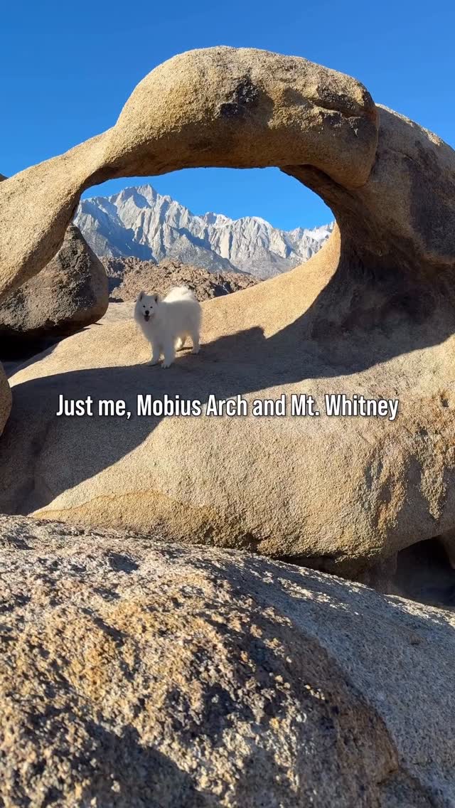 Instagram post by @coconutricebear for Visit California. Caption reads: Who’s the best natural wonder in this trio?....