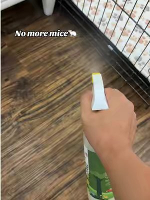 TikTok post by @dubsdat for Reliant Pet. Caption reads: [...] #cleanwithme #mouse #petcleaning @Reliant....