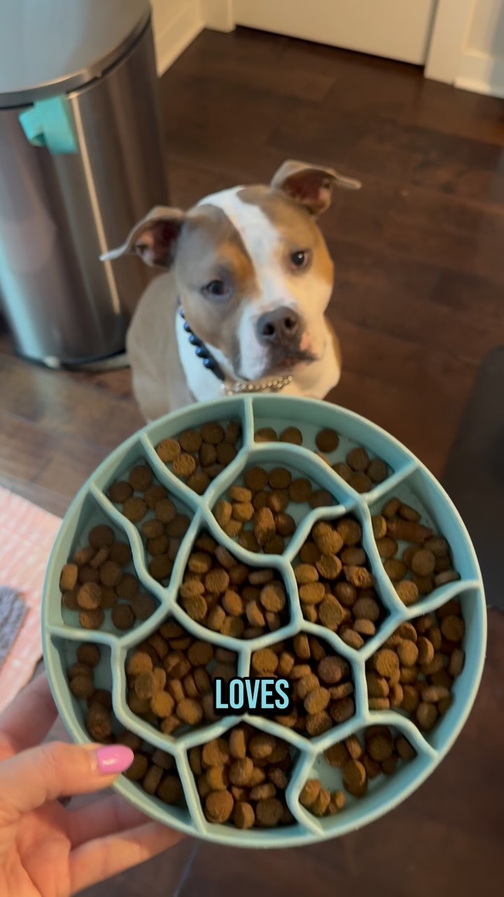 Instagram post by @wally_the_pit for Open Farm Pet. Caption reads: Not all heroes wear capes… some just make room on....