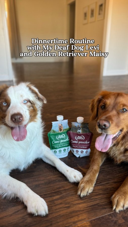 Instagram post by @leviandmaisy for NutriSource Pet Foods. Caption reads: Dinnertime just got even better! ✨ Maisy’s now....