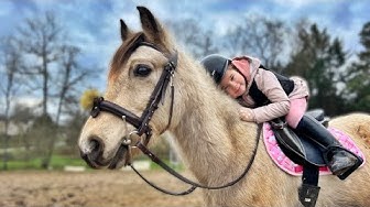 YouTube post by @ReveCompulsif for Les Petits Culottés. Caption reads: LANA FINDS HARIBO.