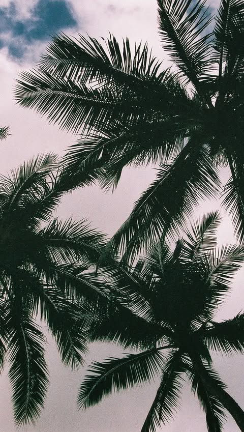 Instagram post by @hunjoe for Sonic Drive-In. Caption reads: Dating Advice: Matching Pjs Edition @sonicdrivein....