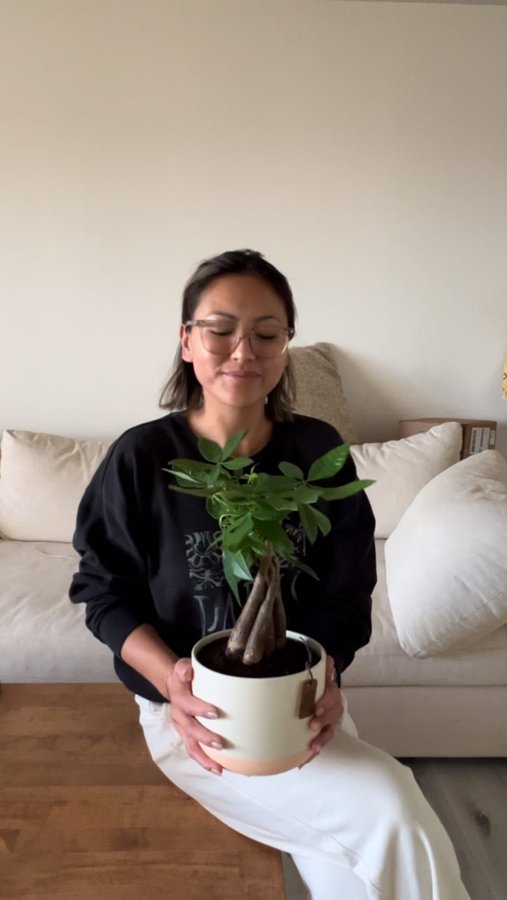 Instagram post by @ashfro_ for Costa Farms. Caption reads: [...] with my newest plant baby from @costafarms....