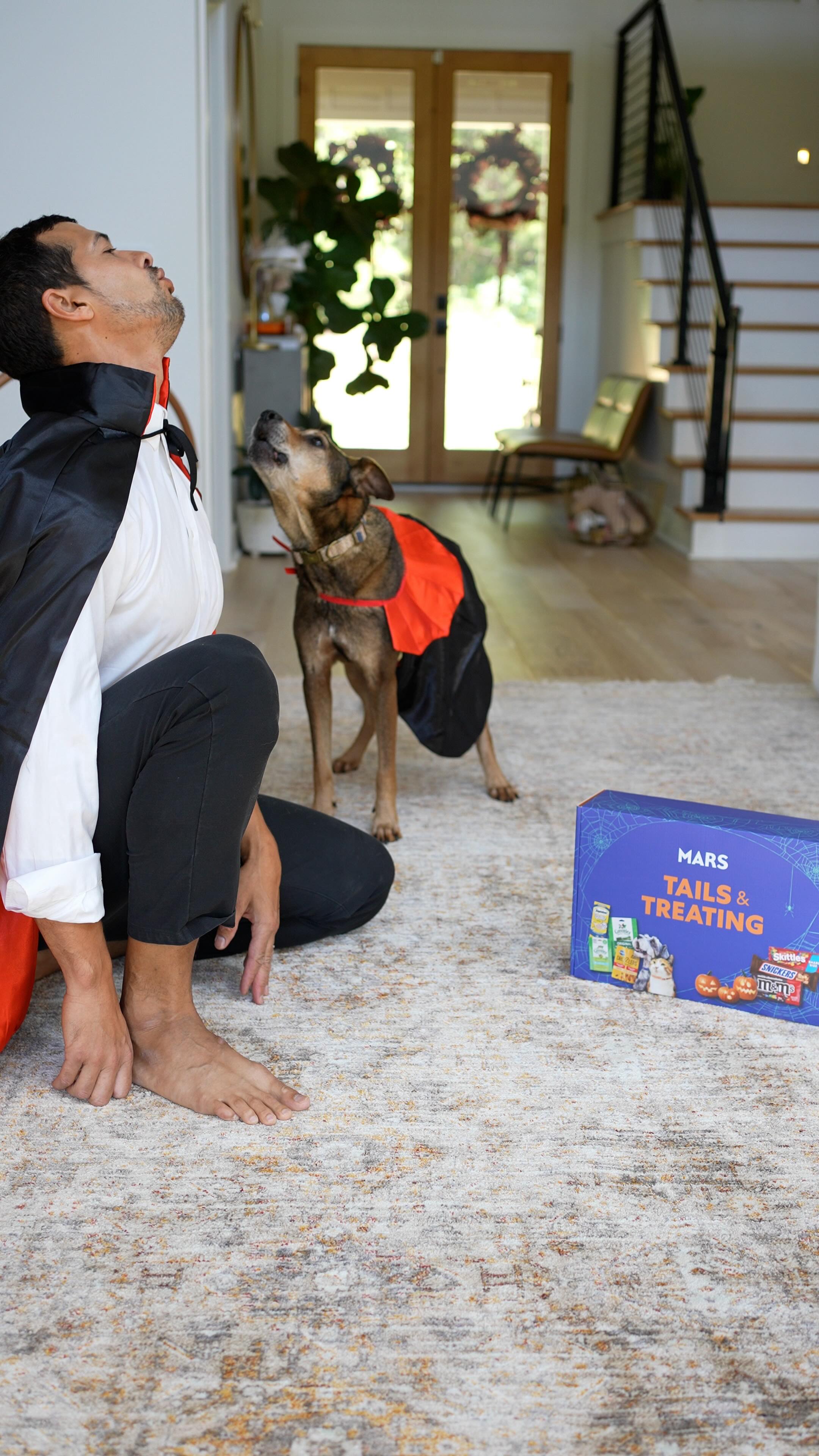 Instagram post by @thecurlycoopers for Greenies. Caption reads: #SponsoredbyMars Halloween just got sweeter (and....