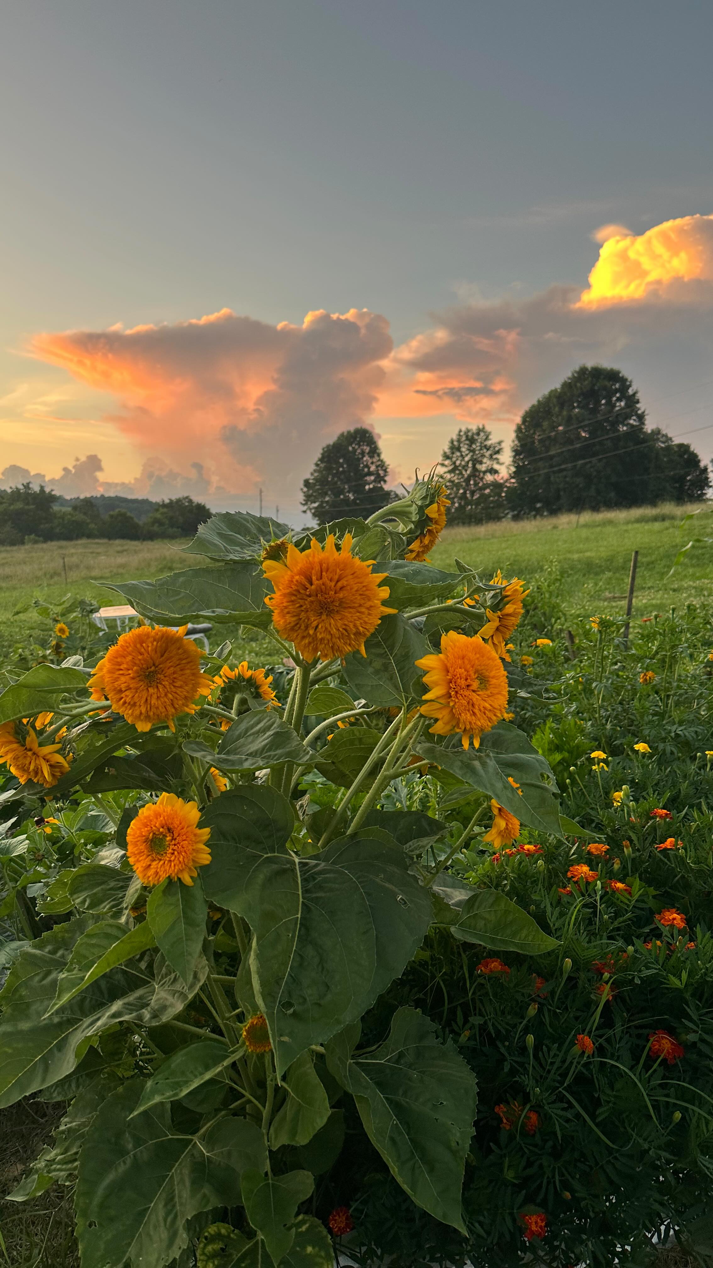 Instagram post by @angelroseturner for Outschool. Caption reads: We want our kids to have a life long love for....