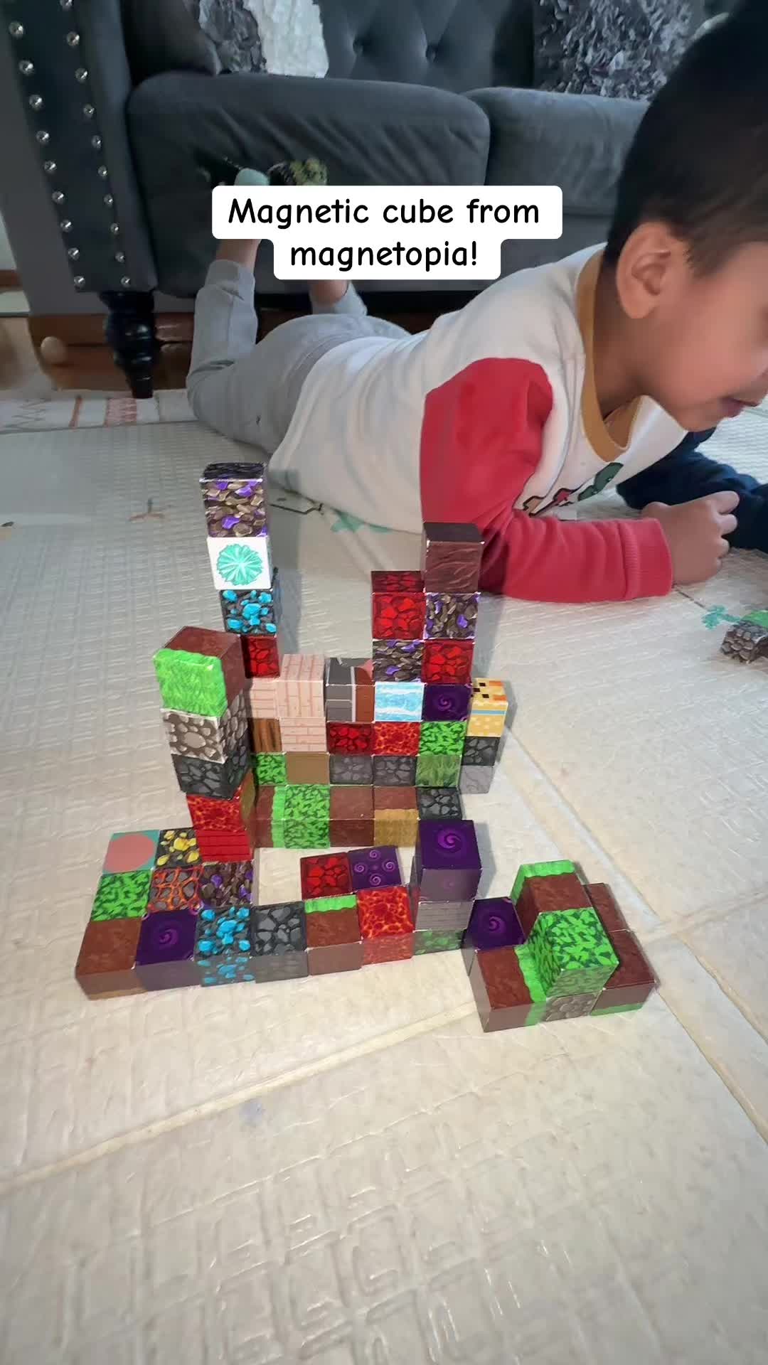 TikTok post by @janukc06 for Magnetopia. Caption reads: [...] around when you are visiting families....