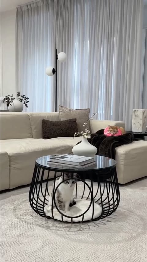 Instagram post by @penguinpepperpia for Petco. Caption reads: [...] cat furniture so I was so excited when....