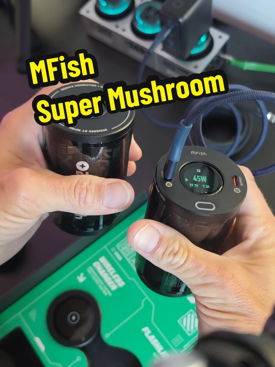 TikTok post by @theghousefam for Mfish Tech Inc. Caption reads: [...] #summervibes @mfish tech inc.