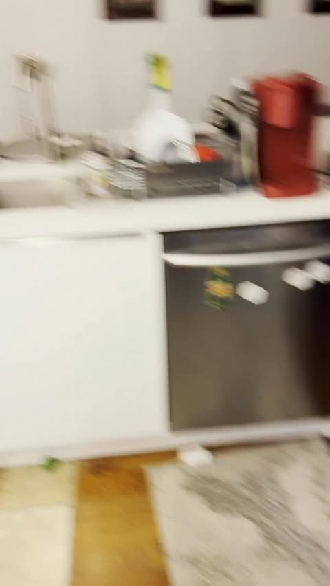 Instagram post by @bellabellarda for PetSnowy. Caption reads: Thanks to our friends at @petsnowy_official for....