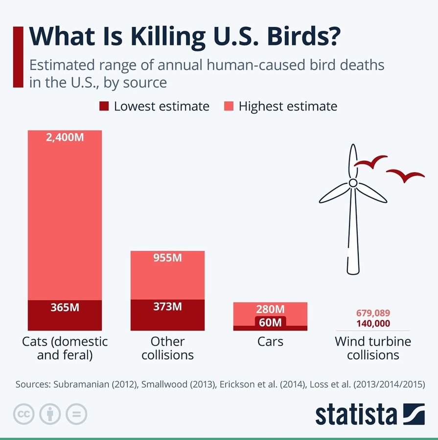 Instagram post by @geopolitical.guy for Statista. Caption reads: Turns out wind turbines aren’t as guilty as some....