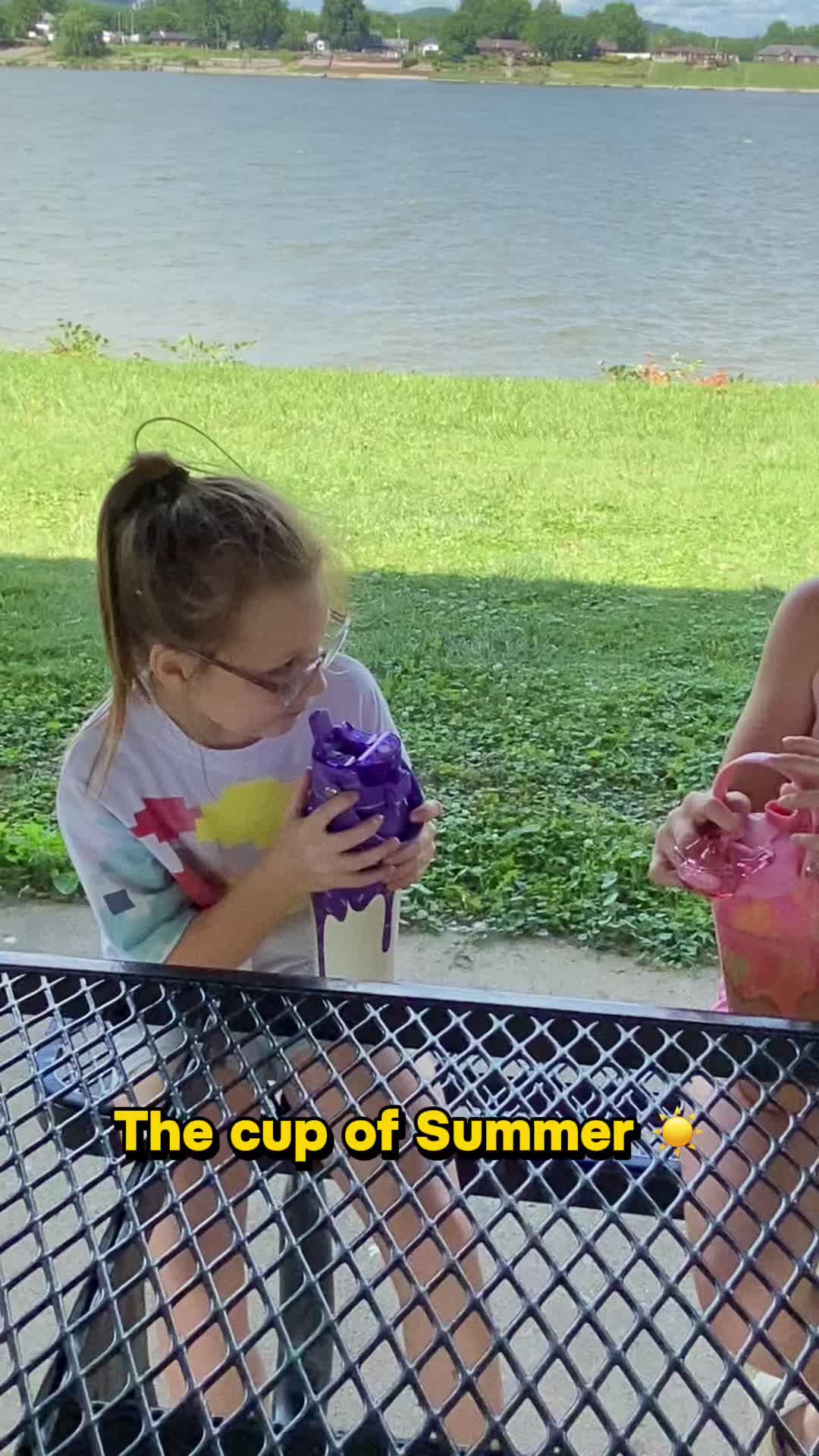 TikTok post by @renewedmimi for Frost Buddy. Caption reads: @Frost Buddy is the cup of Summer! On park days....