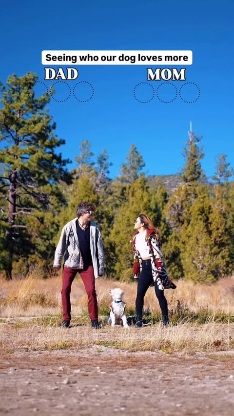 Instagram post by @torinishino for Wellness Pet Food. Caption reads: Haters will say Mom cheated 🐶😅🦴 #ad 

In all....