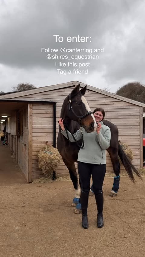 Instagram post by @canterring for Shires Equestrian. Caption reads: [...] | Ad 🎄✨

I’ve teamed up with Shires....