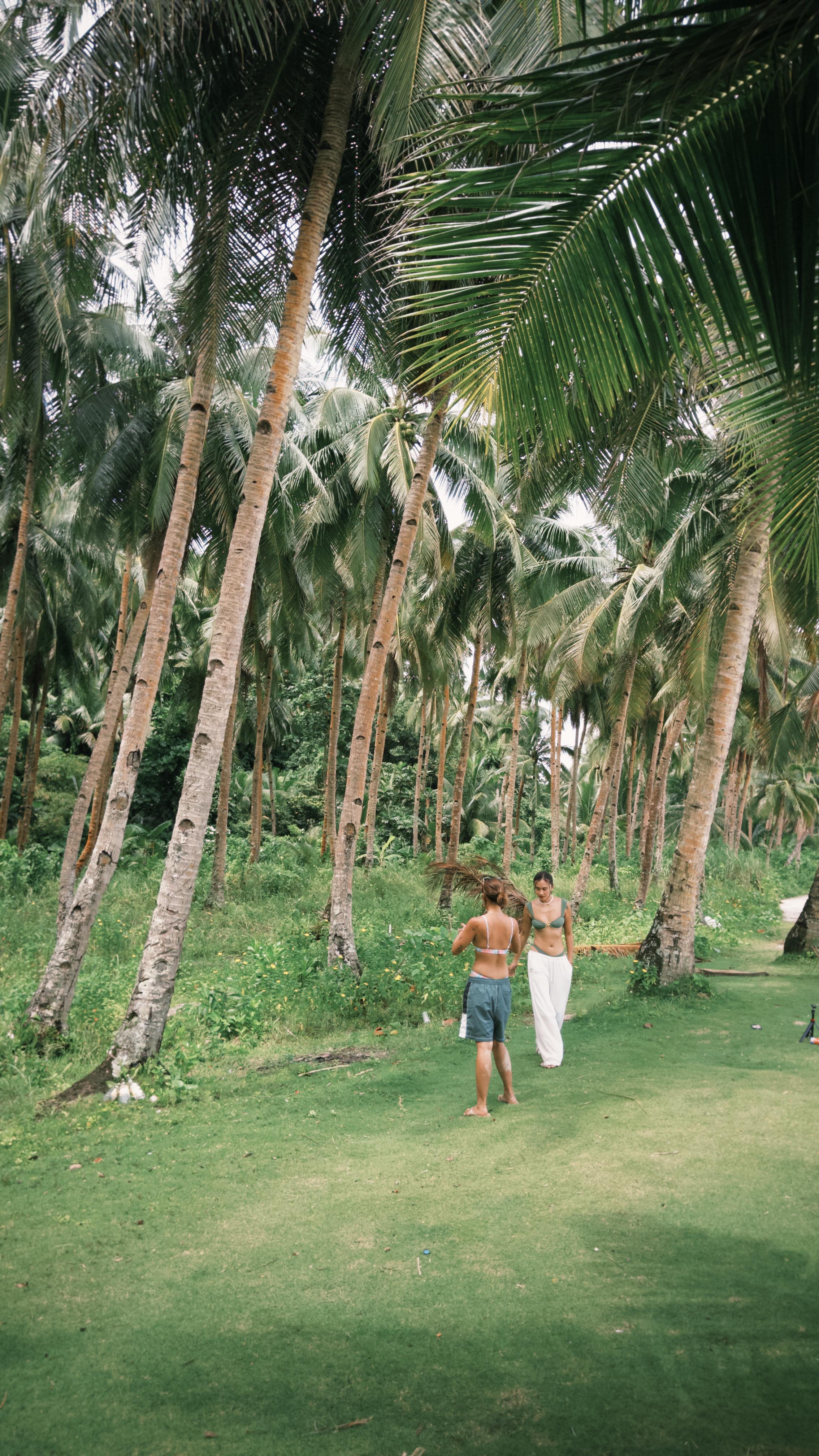 Instagram post by @ynnsnchz for ShopBack. Caption reads: Budget, but make it boujee. 
#ShopBackKaMuna and....