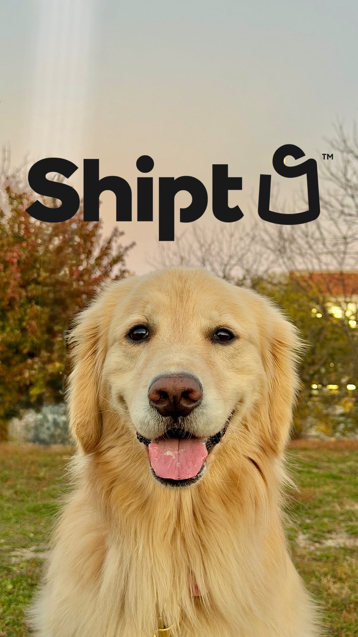 Instagram post by @maggieandherdads for Shipt. Caption reads: #ShiptCreator @shipt saves the day! Thanks to....