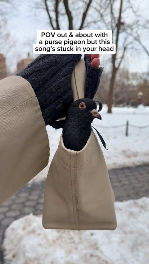 Instagram post by @abby.jardine for Coinbase. Caption reads: [...] pidge’s head too)… thanks #EverybodyCoinbase....