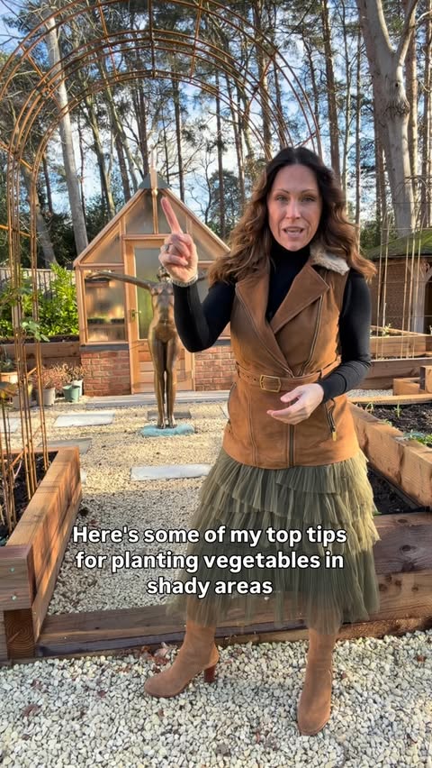 Instagram post by @augusts_garden for FAIRFAX & FAVOR. Caption reads: Top tips for growing vegetables in the....
