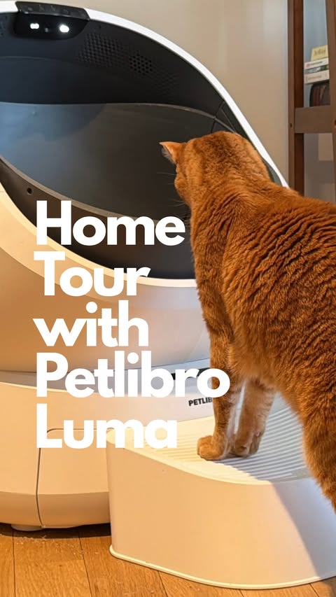 Instagram post by @girlsandtheircats for Petlibro. Caption reads: [...] Your cat deserves a smarter bathroom.....