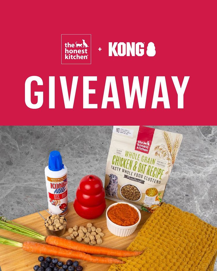 Instagram post by @kongcompany for The Honest Kitchen. Caption reads: *GIVEAWAY CLOSED* 🎉 GIVEAWAY ALERT! 🎉 In....