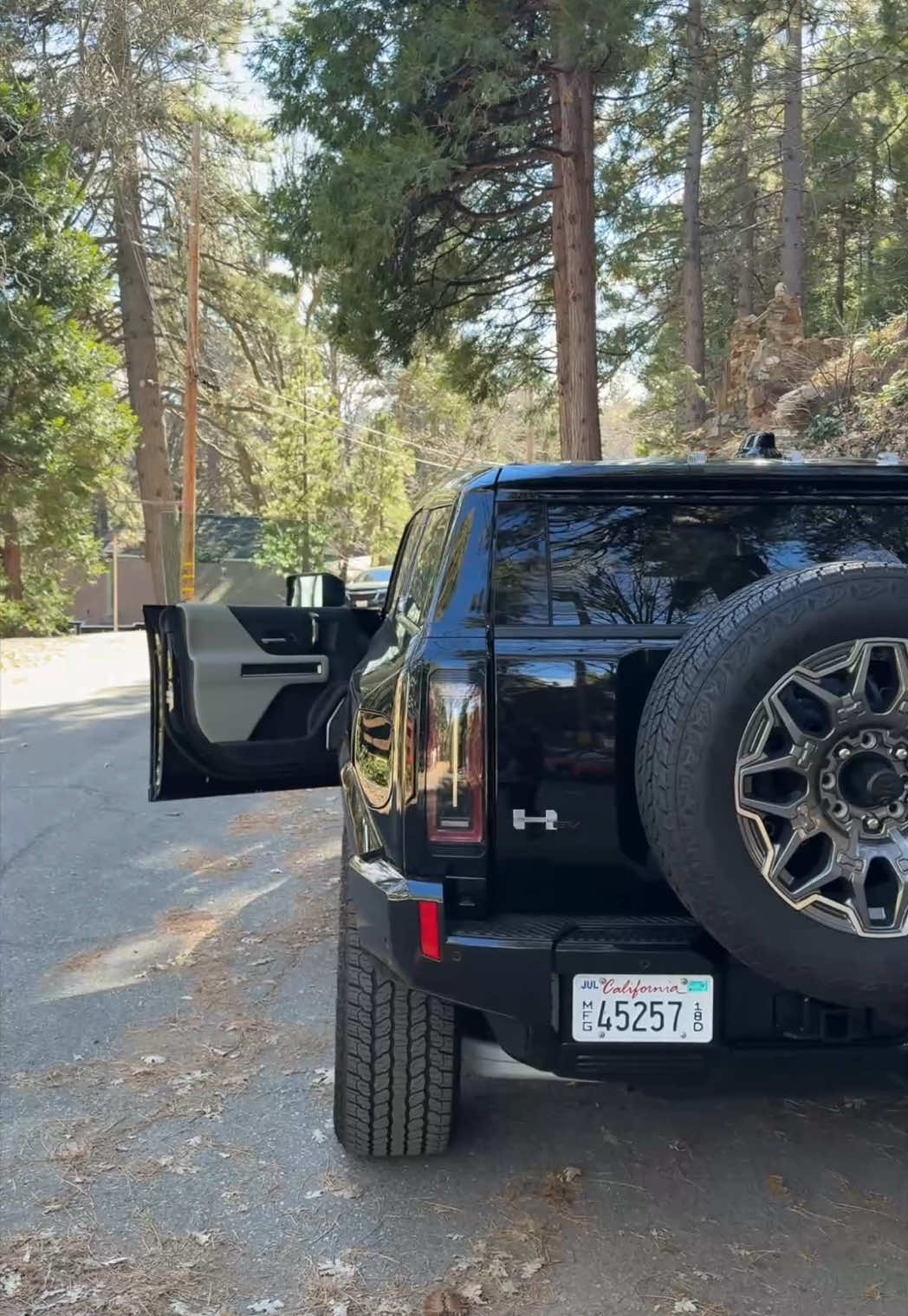 TikTok post by @emilycanham for GMC. Caption reads: [...] 😂😌🏔️🎄 #roadtrip #lakearrowhead....