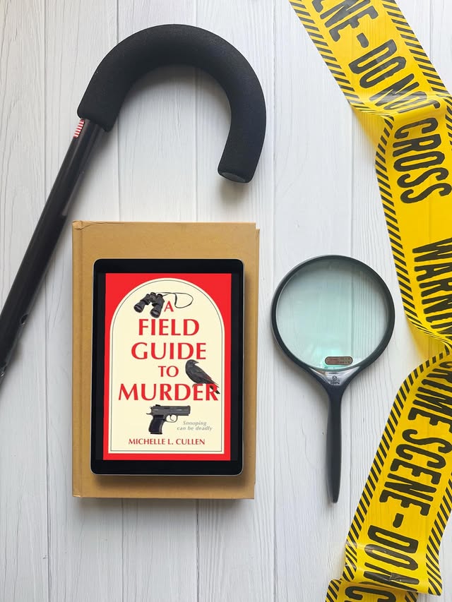 Instagram post by @aneedleinmybookstack for TLC Book Tours. Caption reads: [...] | 27-Jan-26 Thank you #Partner,....