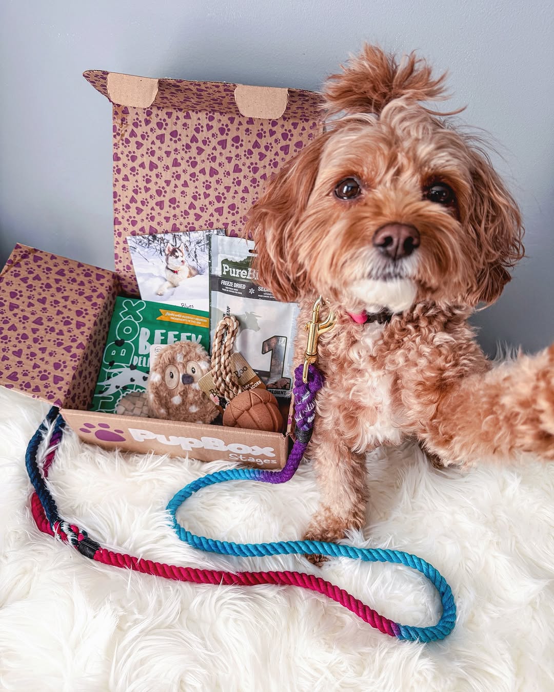Instagram post by @with.love.kaden.and.adalynn for PupBox. Caption reads: #sponsored by @pupbox. 💜
━
This month’s PupBox....