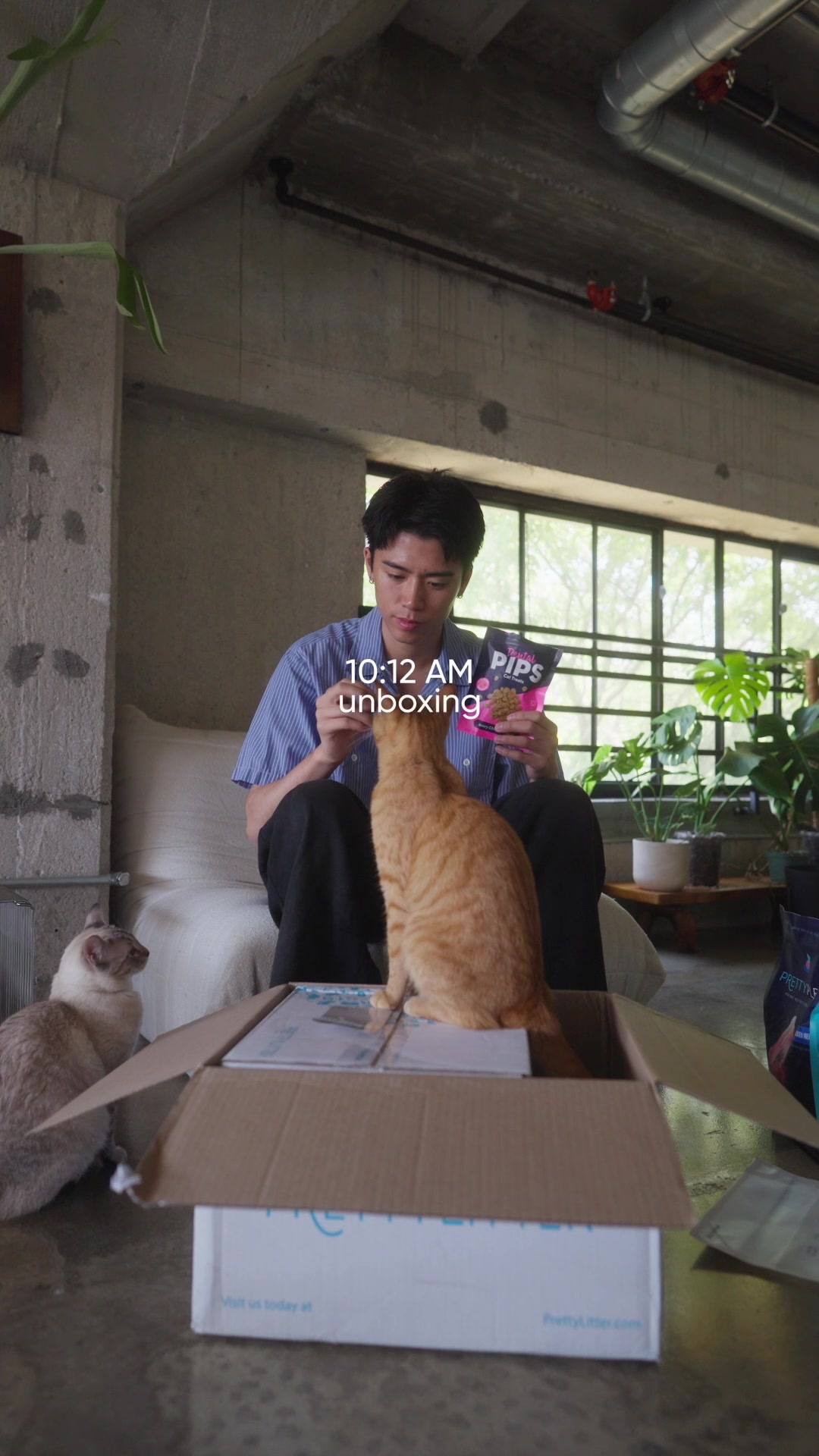 TikTok post by @andyyyen for PrettyLitter. Caption reads: [...] and not having to run errands. Visit....