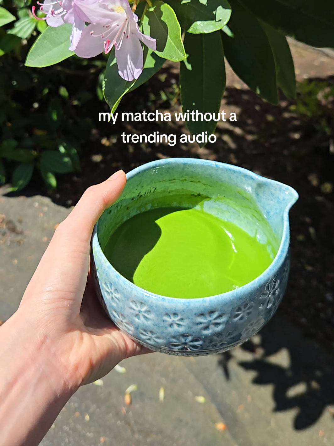 TikTok post by @itssochanix for Chazoku. Caption reads: just the birds, the flowers, and this maple black....