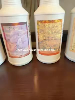 TikTok post by @annathetwinnest for R&W Co.. Caption reads: [...] ladies! I actually want to clean now! @R&W....