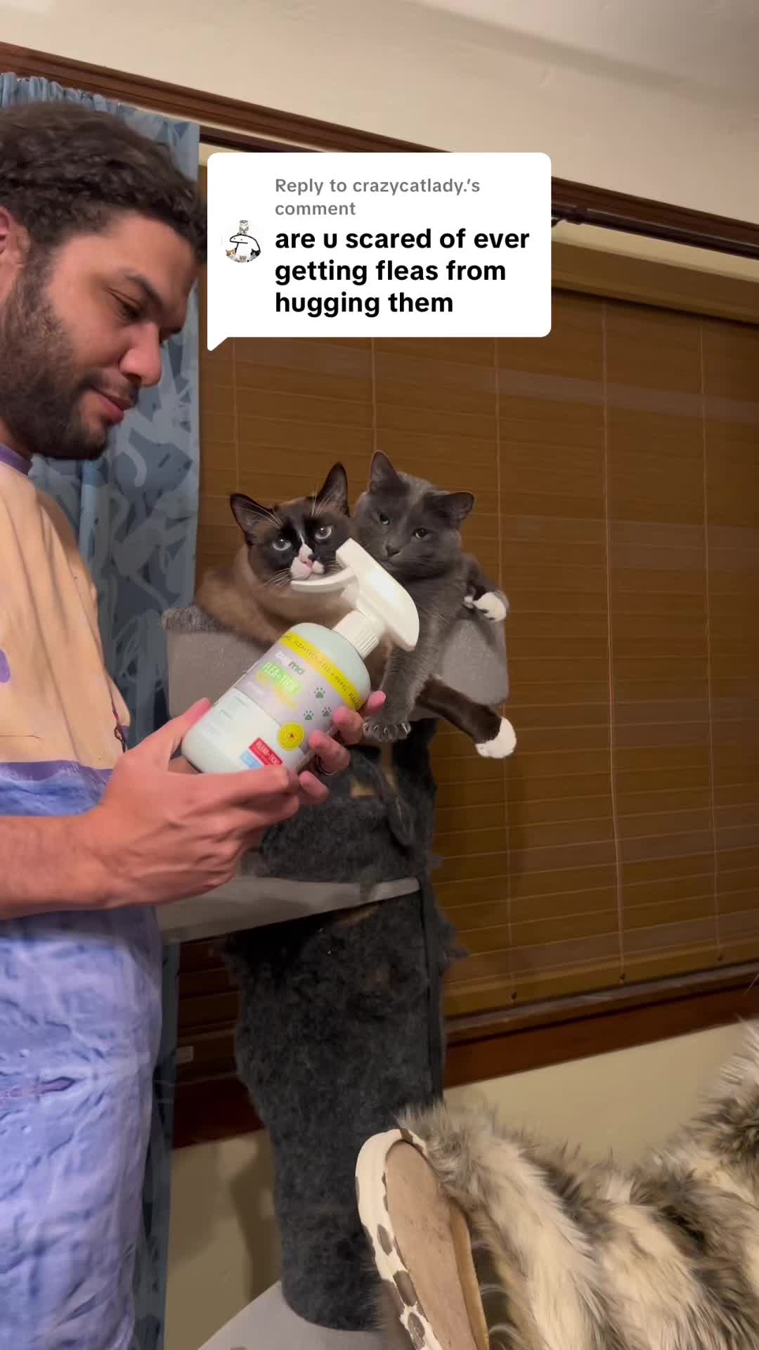 TikTok post by @catluminati for BugMD. Caption reads: Replying to @crazycatlady. yes, I have had fleas....