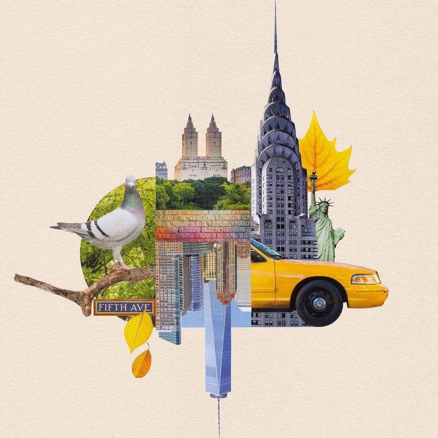 Instagram post by @the.daily.splice for Shutterstock. Caption reads: [...] create a collage using images from....