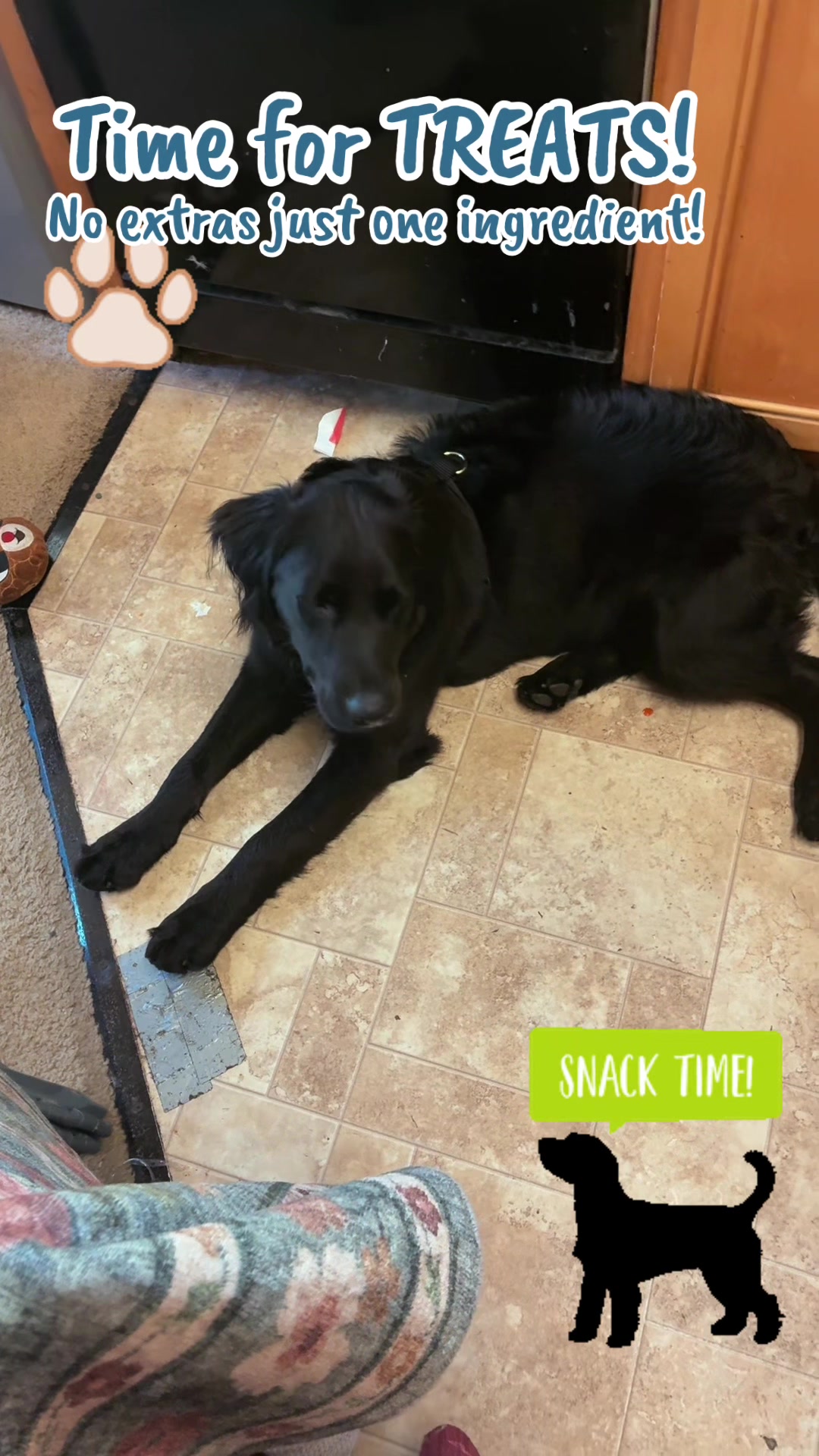 TikTok post by @rainie.with.dogs for King Lou. Caption reads: [...] #heathyfood #treats #dogs #happydog@King Lou.