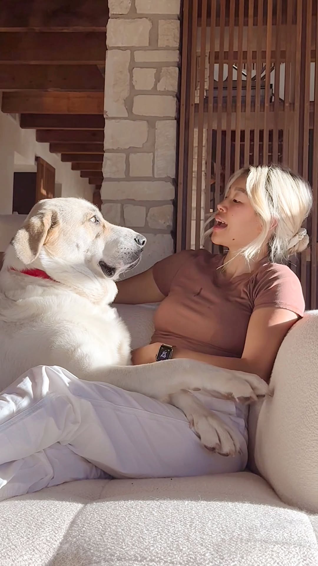 Instagram post by @rrayyme for Wells Fargo. Caption reads: #ad #TermsApply Meet Saoirse and Sam! 🐶💕

We....
