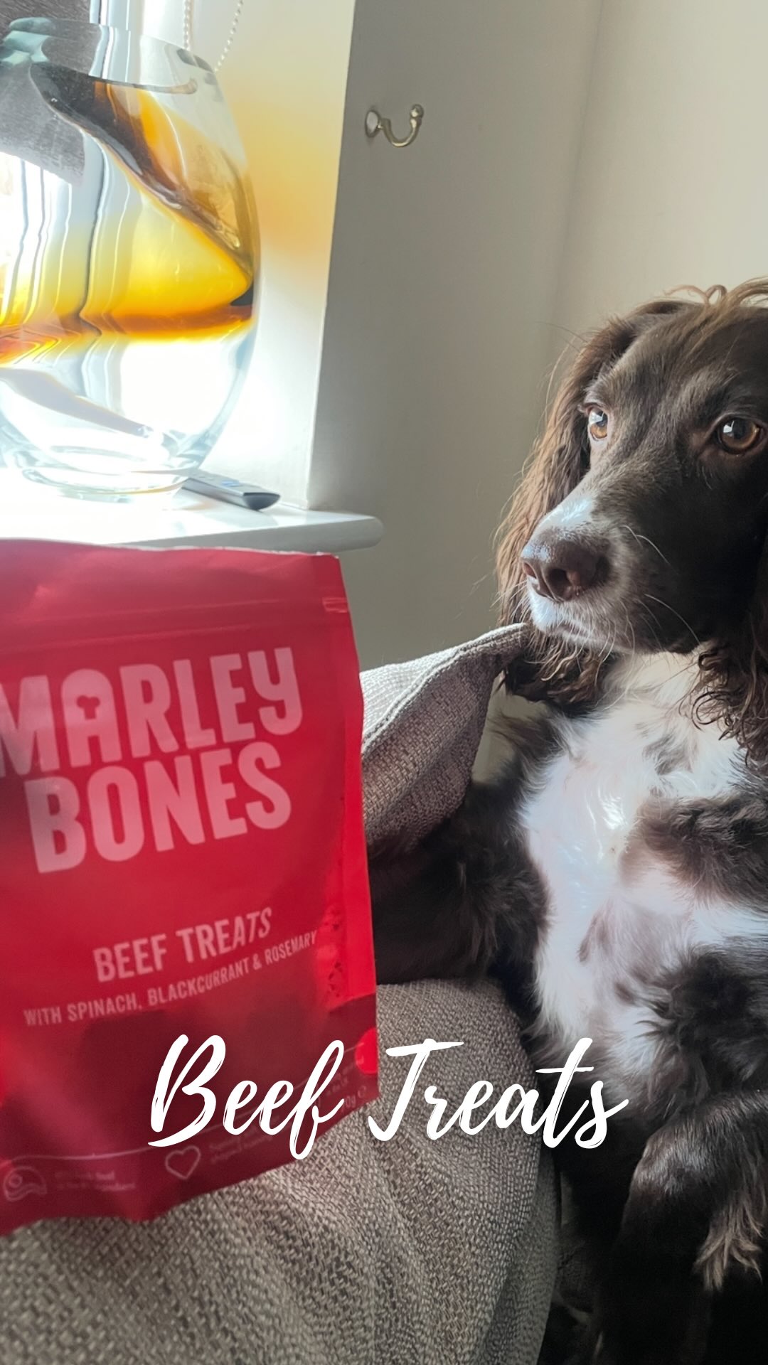 Instagram post by @woody_the_englishcocker for Marleybones. Caption reads: I tell you what these treats from....