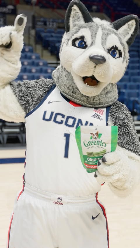 Instagram post by @heckel_kayleigh for GREENIES. Caption reads: [...] pledge to Be Your Dog’s Mouthguard at....