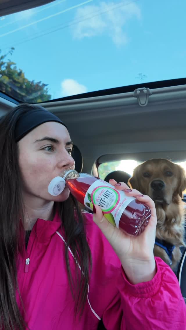 Instagram post by @ciaramcnultyrd for Vithit. Caption reads: VVVVIP this morning 🐶 we had an absolute blast on....