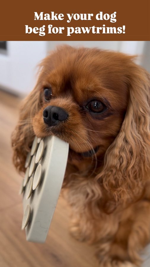 Instagram post by @cutecosmo_thecavalier for ESSENTIAL FOODS. Caption reads: ⚠️Make sure you still are mindfull to their body....