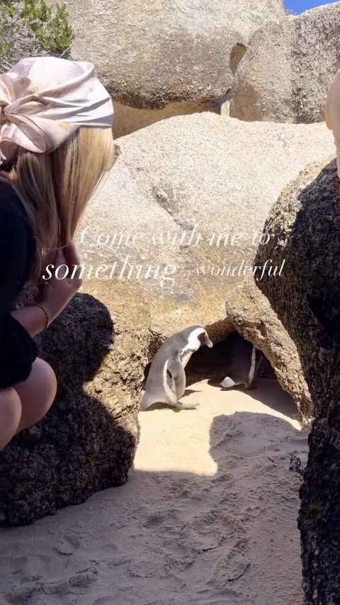 Instagram post by @dani_noah_ for GetYourGuide. Caption reads: [...] to something wonderful 🐧! Werbung....