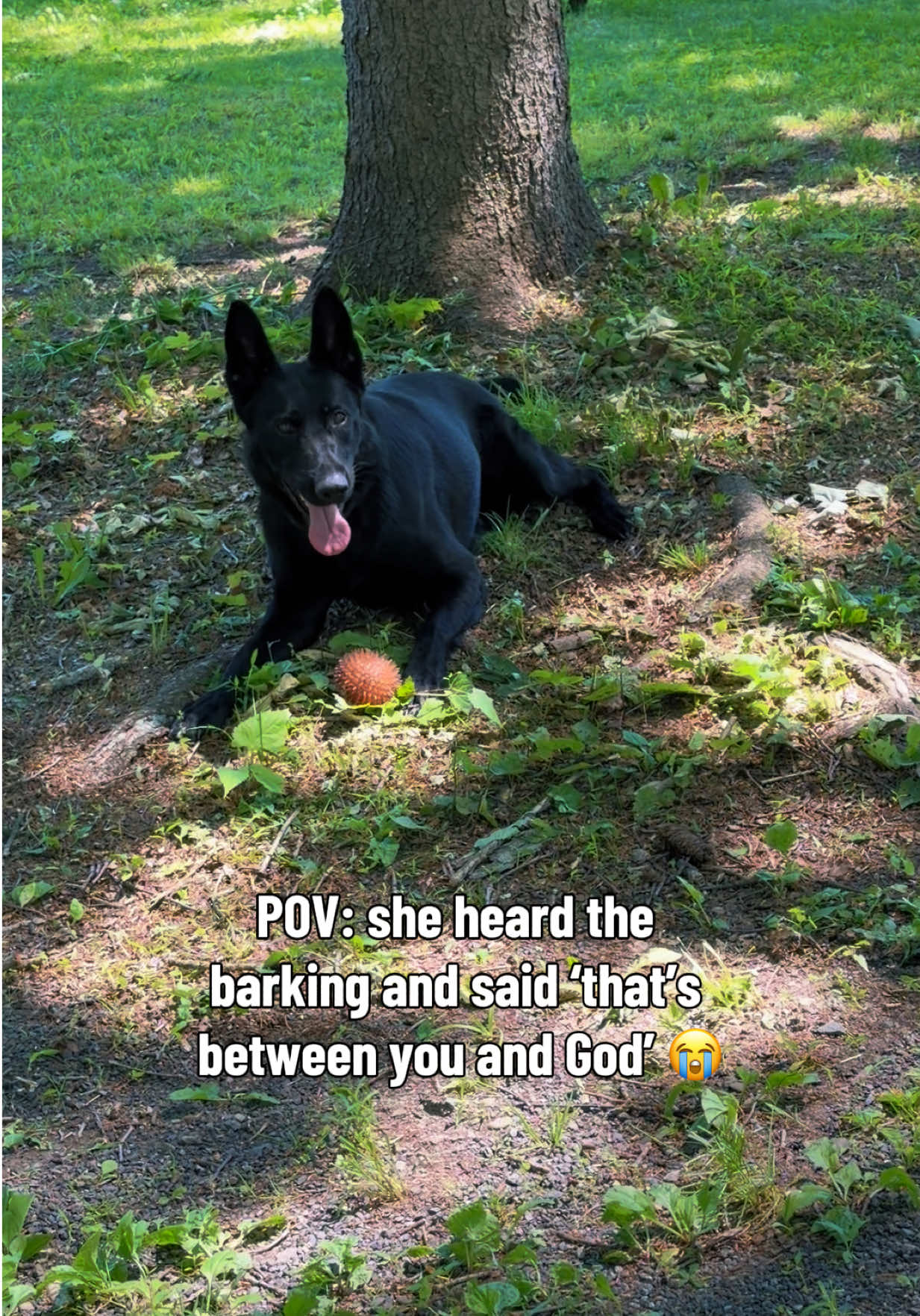 TikTok post by @lunaandrambo.gsd for Jugbow. Caption reads: [...] those moments where she made me proud.....