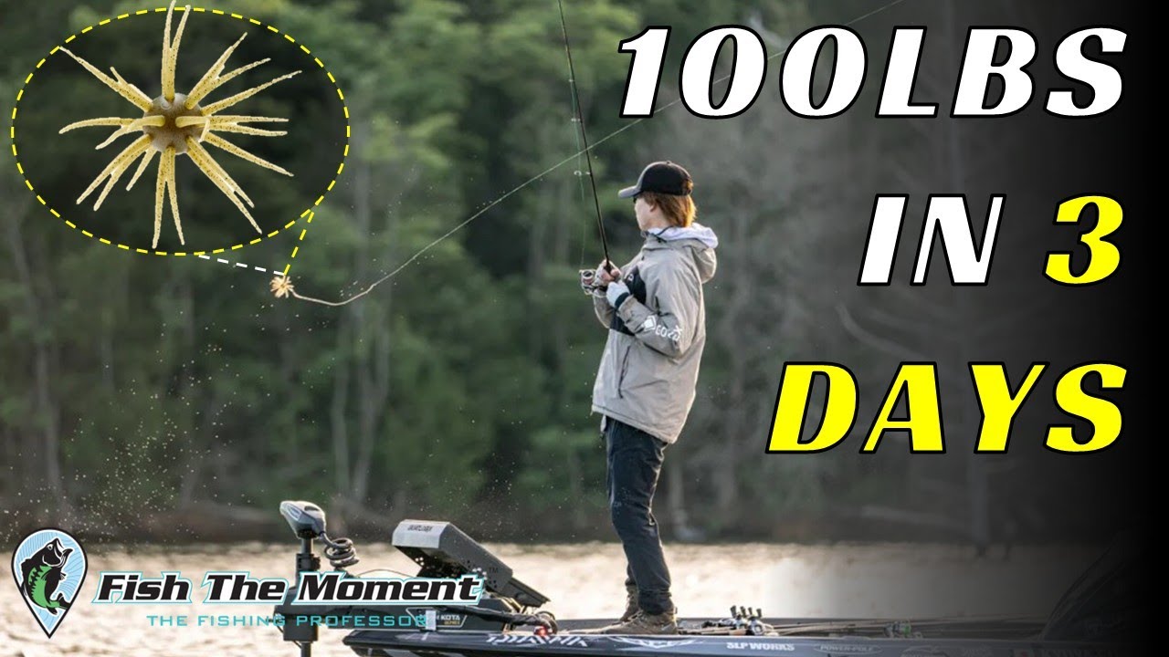 YouTube post by @FishtheMoment for Born Primitive. Caption reads: Use this link to get 15% OFF Born Primitive....