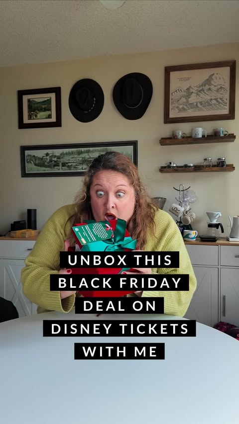 Instagram post by @we_dont_wear_ears for Undercover Tourist. Caption reads: Undercover Tourist (aka @themeparkfrog ) is the....