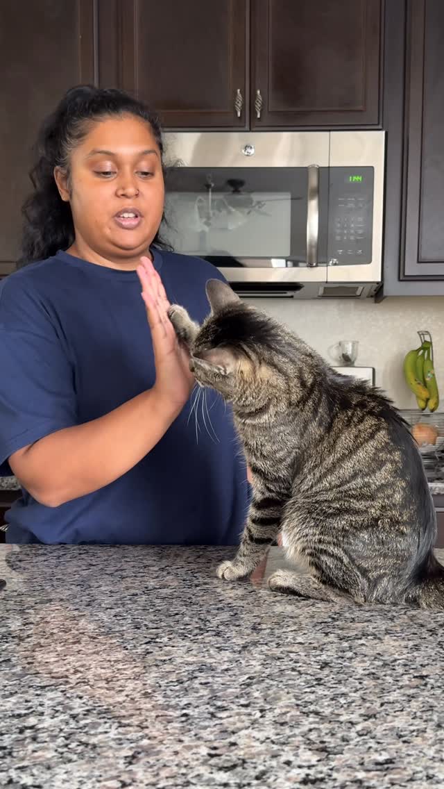 Instagram post by @bacpackseven for Smalls. Caption reads: Only the best for my babies ❤️ @smallsforcats....