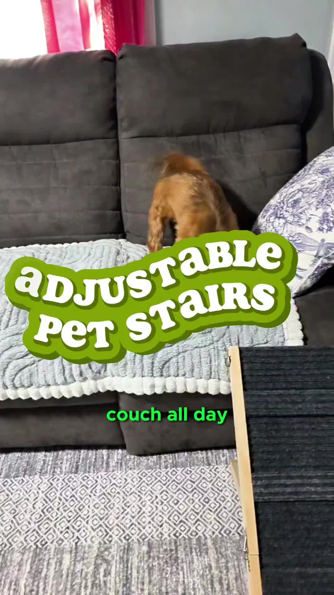 TikTok post by @shorkiebros for Pawaboo. Caption reads: @pawabooofficial #dogramps #petrampsforsmalldogs....