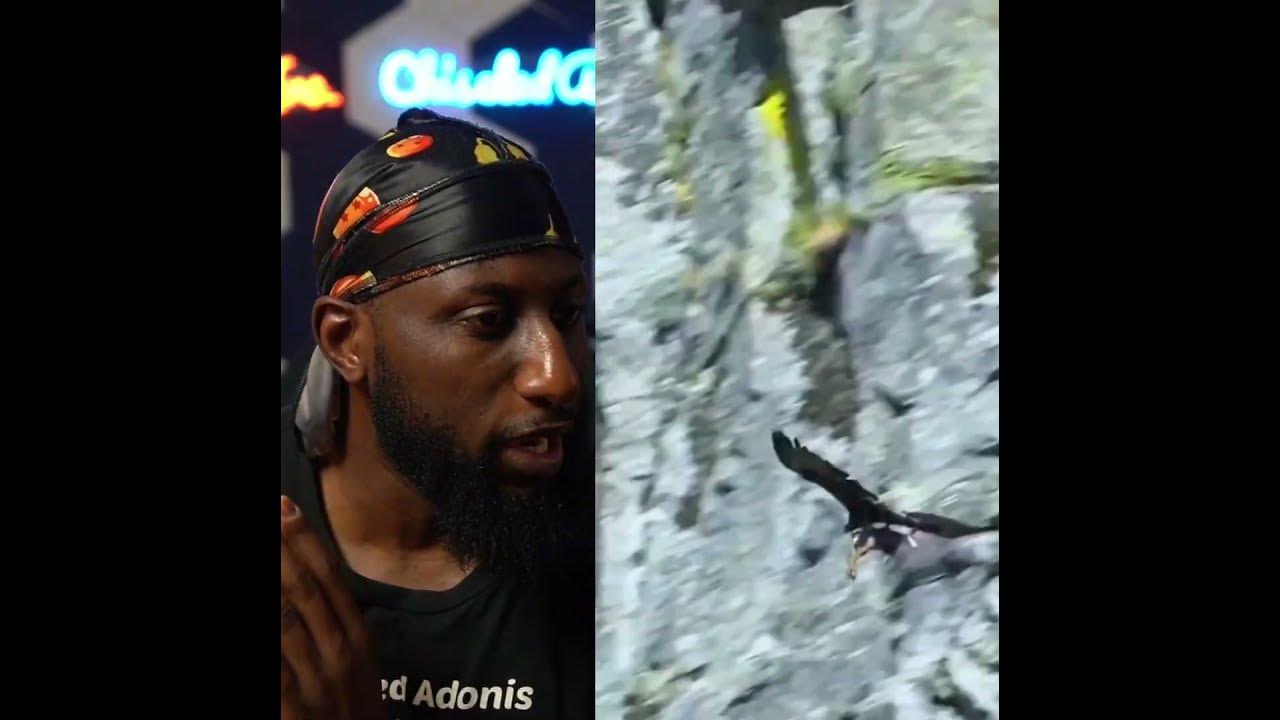 YouTube post by @ChiseledAdonis for Dailymotion. Caption reads: Predator vs Prey.