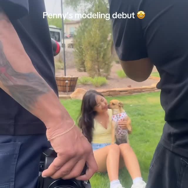 Instagram post by @yunabugs for Sassy Woof. Caption reads: We are excited for this launch as much as Meaty is....