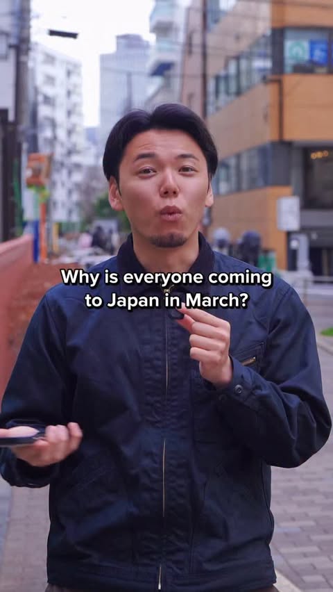 Instagram post by @takashiifromjapan for Sakuraco. Caption reads: why is everyone coming to Japan in March? Use code....