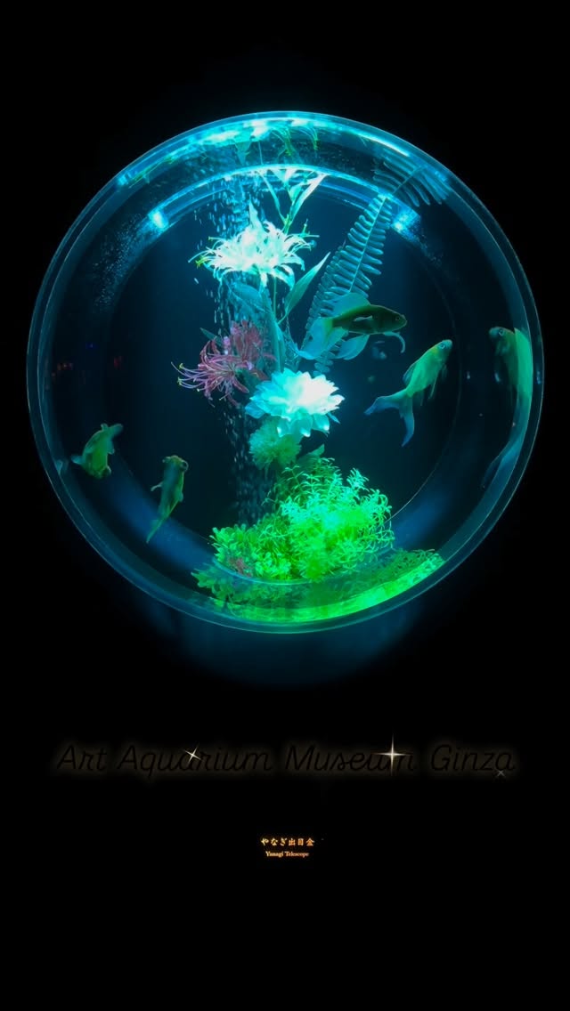 Instagram post by @oshare.otaku for ARTAQUARIUM. Caption reads: [...] at Art Aquarium Museum GINZA. 🐠💫....