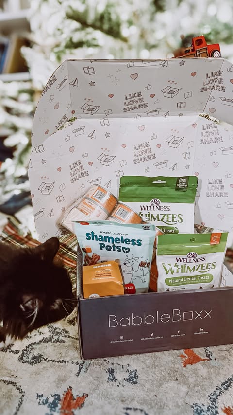 Instagram post by @ejgreen14 for BabbleBoxx. Caption reads: With the holidays approaching I found the perfect....