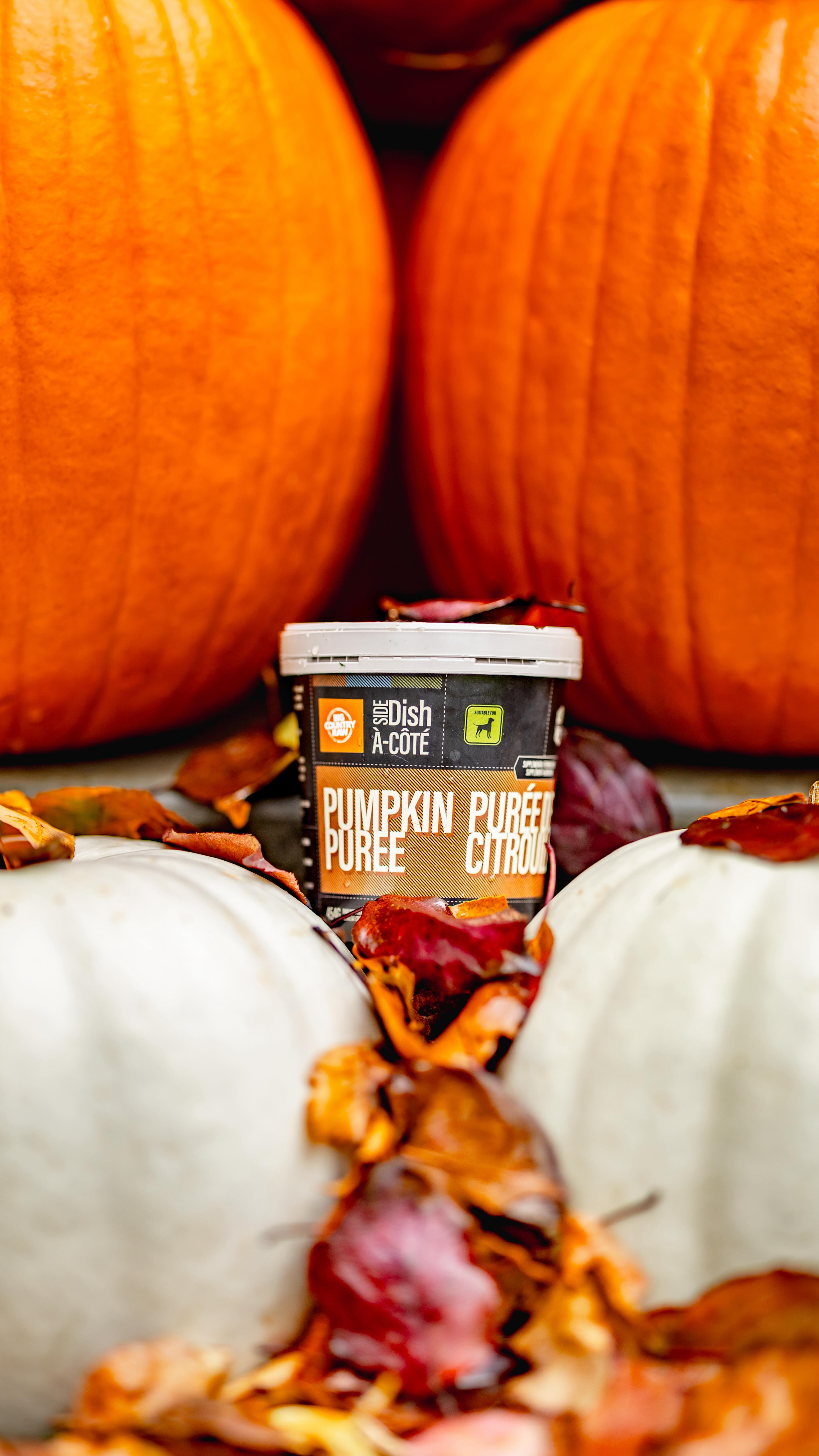 Instagram post by @my.pawsome.crew for BIG COUNTRY RAW. Caption reads: Breakfast brought to you by @bigcountryraw and....