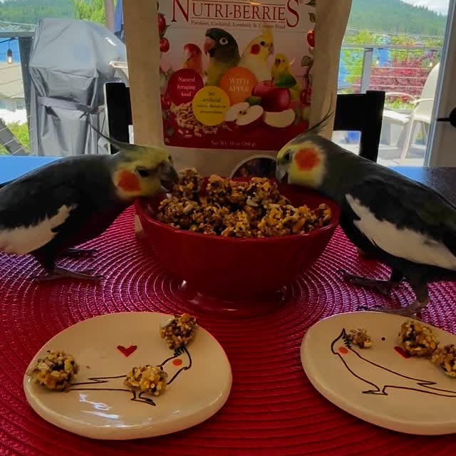Instagram post by @thepeekaboobirds for Lafeber Pet Birds. Caption reads: [...] Nutri-Berries from our friends at....